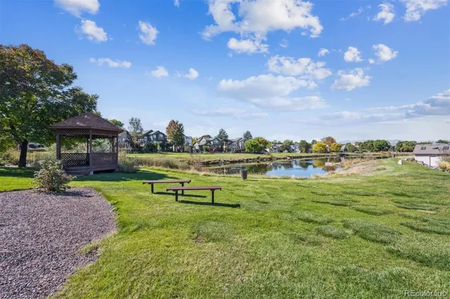 a view of a park with large trees