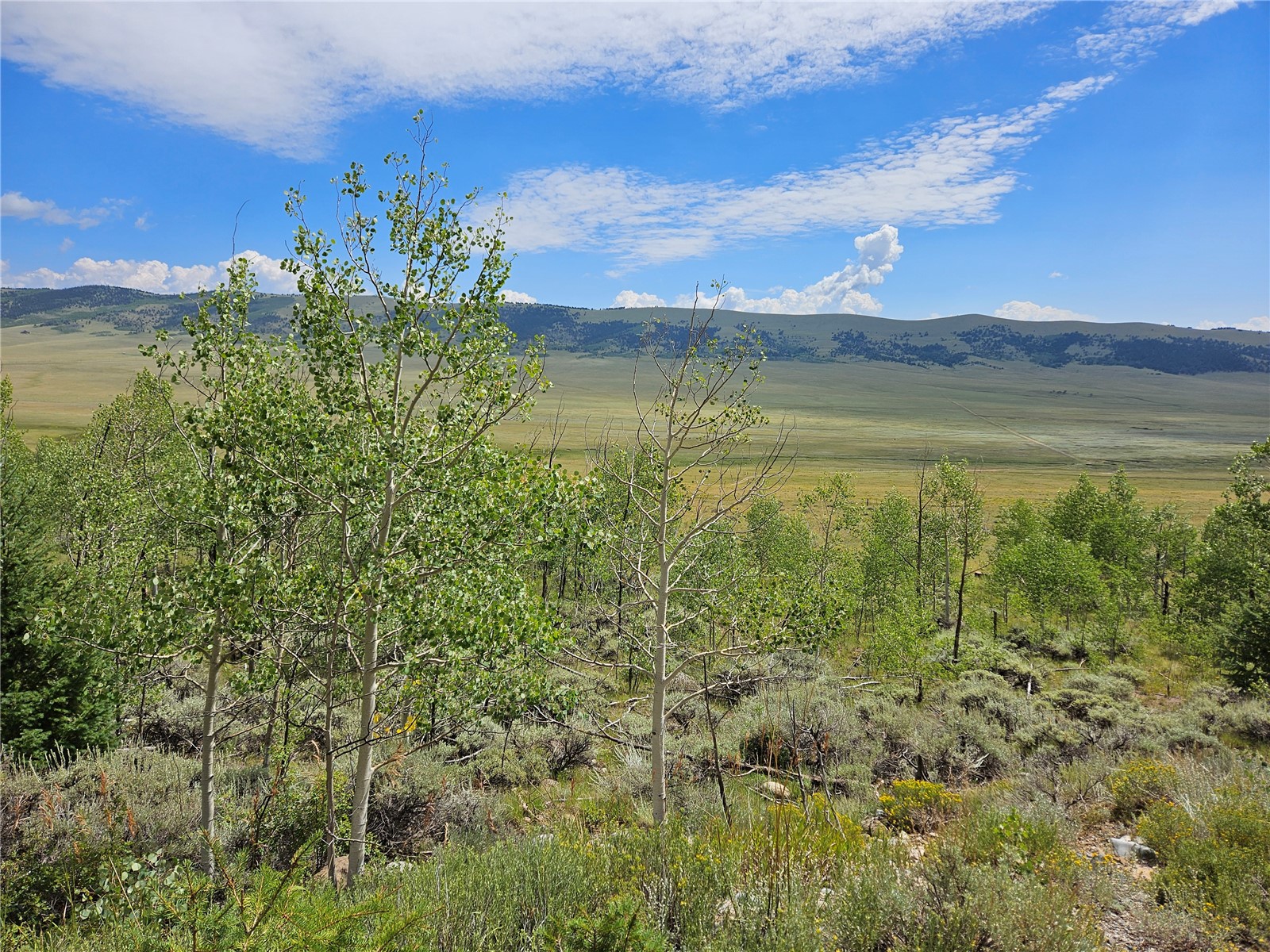 3062 Redhill Road Fairplay, CO 80440 - Photo 35 of 47 Gallery Image 35