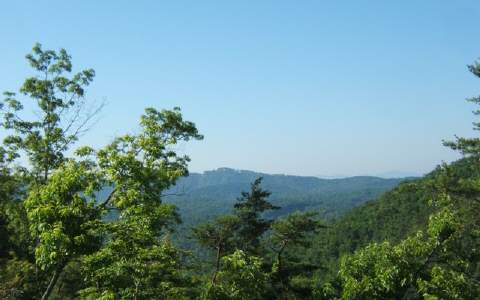 Lot40 American Eagle Road Murphy, NC 28906 - Photo 1 of 1 Main View