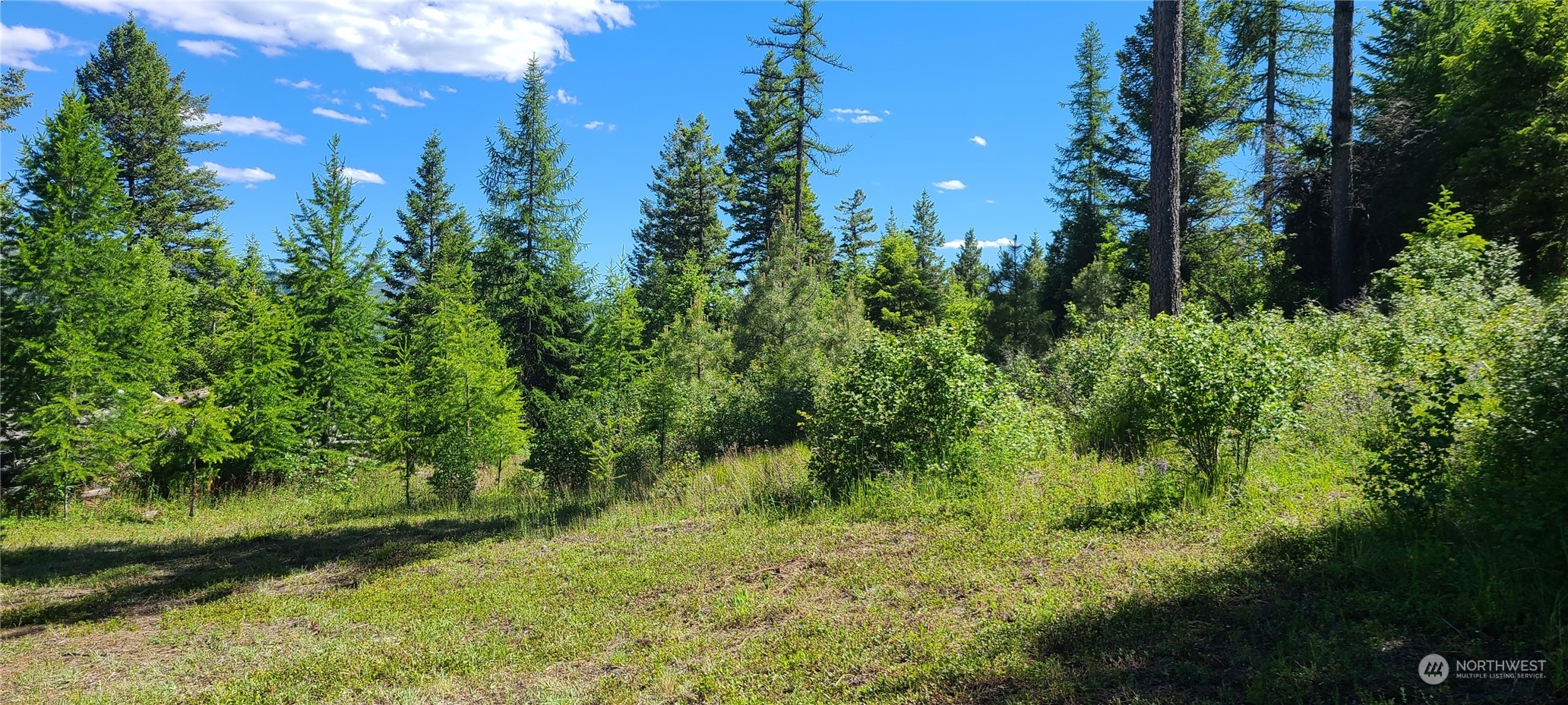 1 Old Kettle Falls Road Republic, WA 99166 - Photo 4 of 10