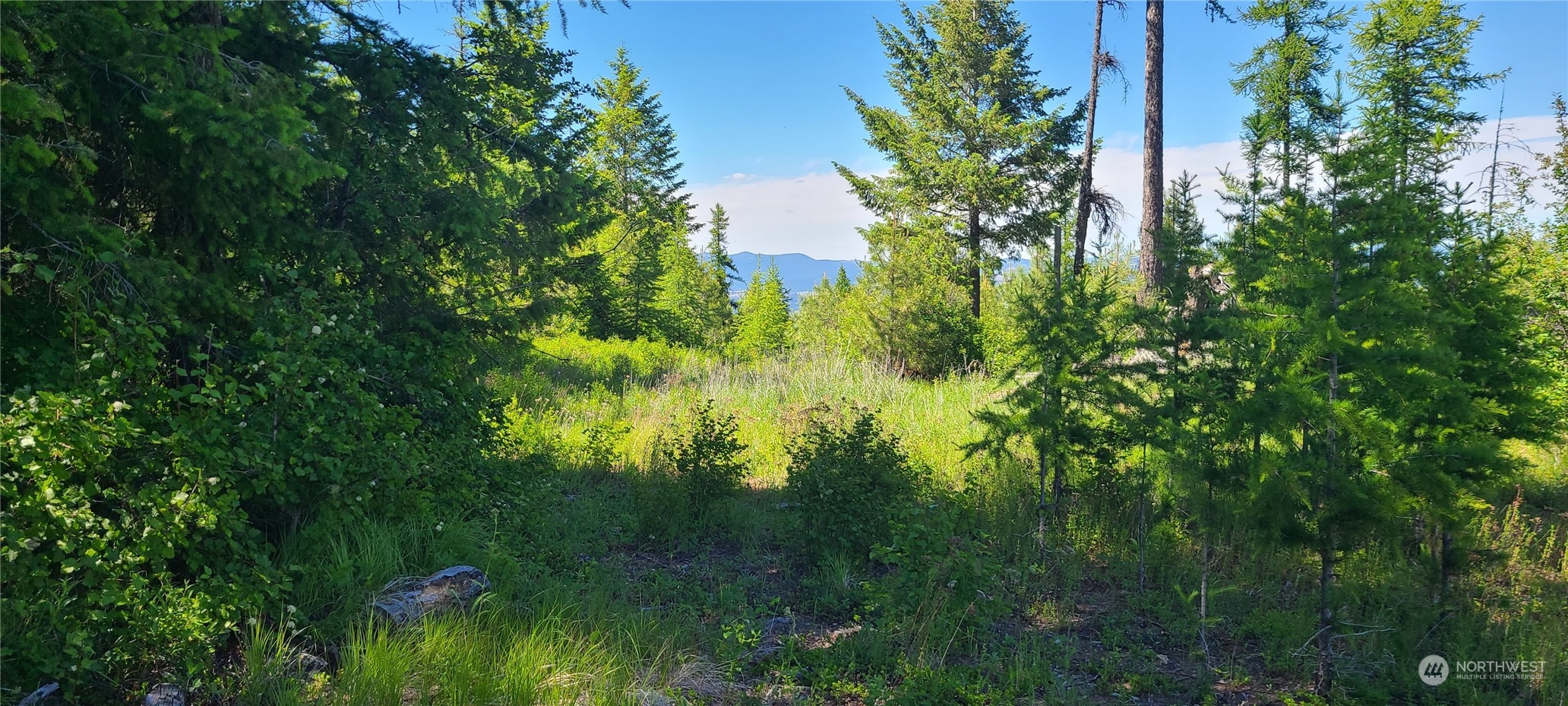 1 Old Kettle Falls Road Republic, WA 99166 - Photo 5 of 10