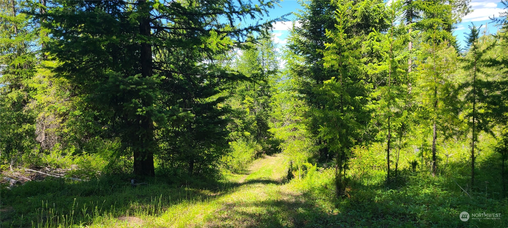 1 Old Kettle Falls Road Republic, WA 99166 - Photo 10 of 10