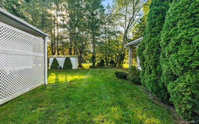 a view of a yard with large trees