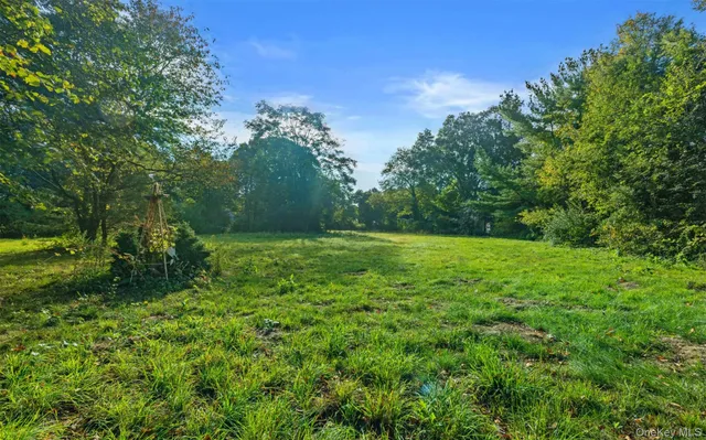 a view of yard with green space