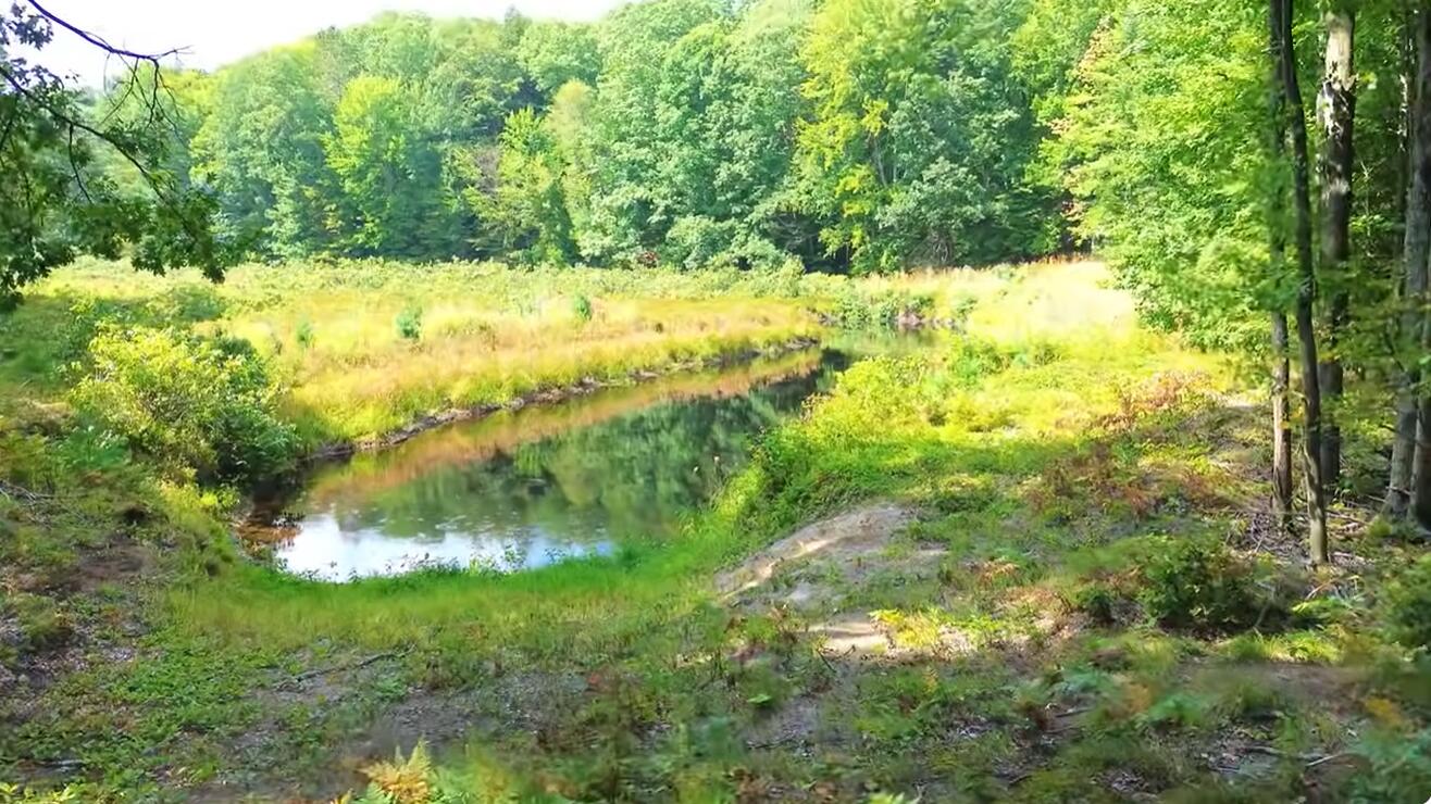 9557 East Anthony Road Branch, MI 49402 - Photo 85 of 98 pond