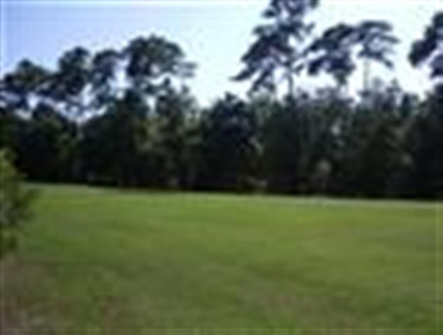 200 Clipper Road North Myrtle Beach, SC 29582 - Photo 8 of 9 Gallery Image 8
