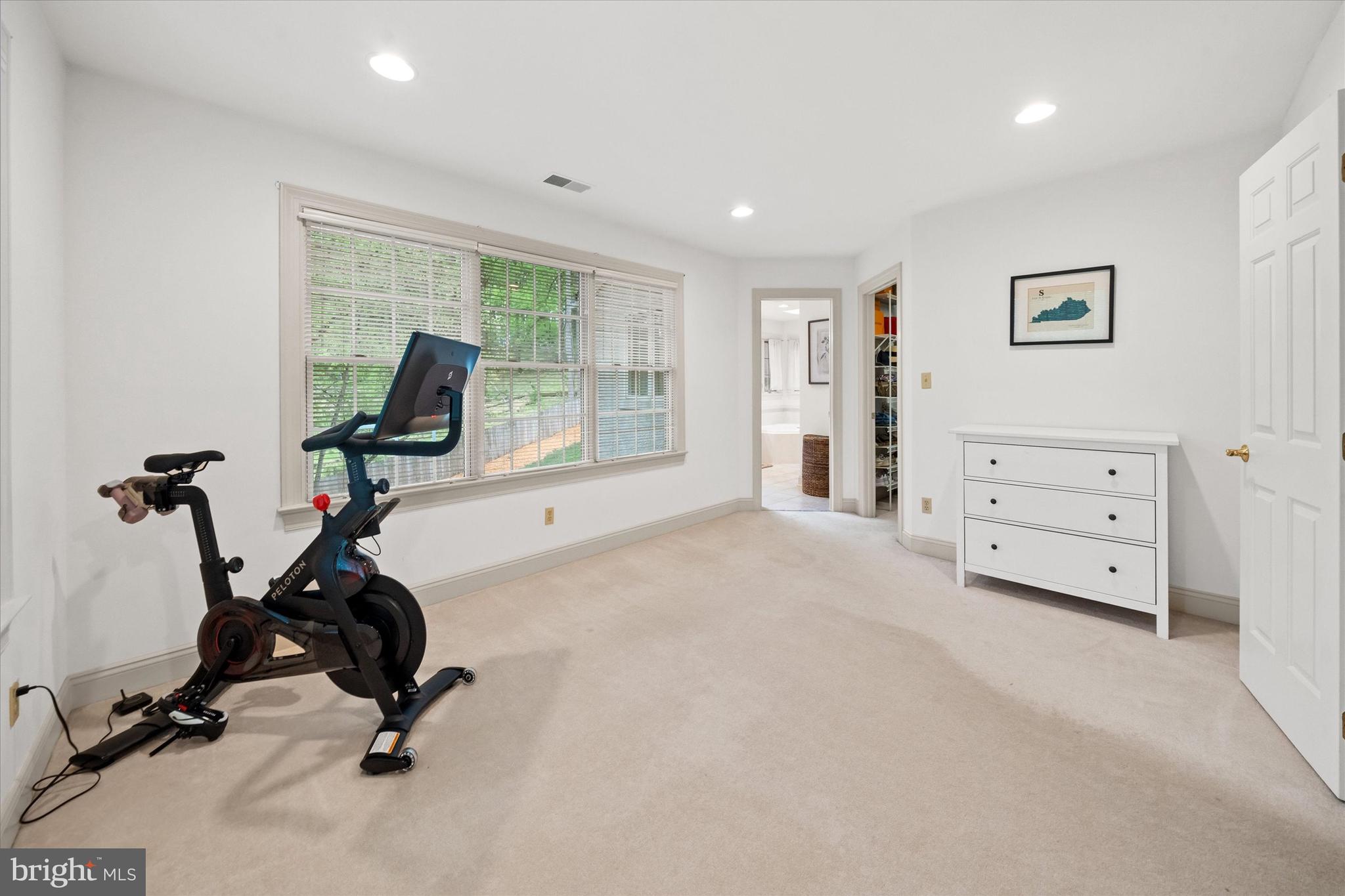 1618 Snuff Mill Road Hockessin, DE 19707 - Photo 25 of 48 a view of a room with gym equipment