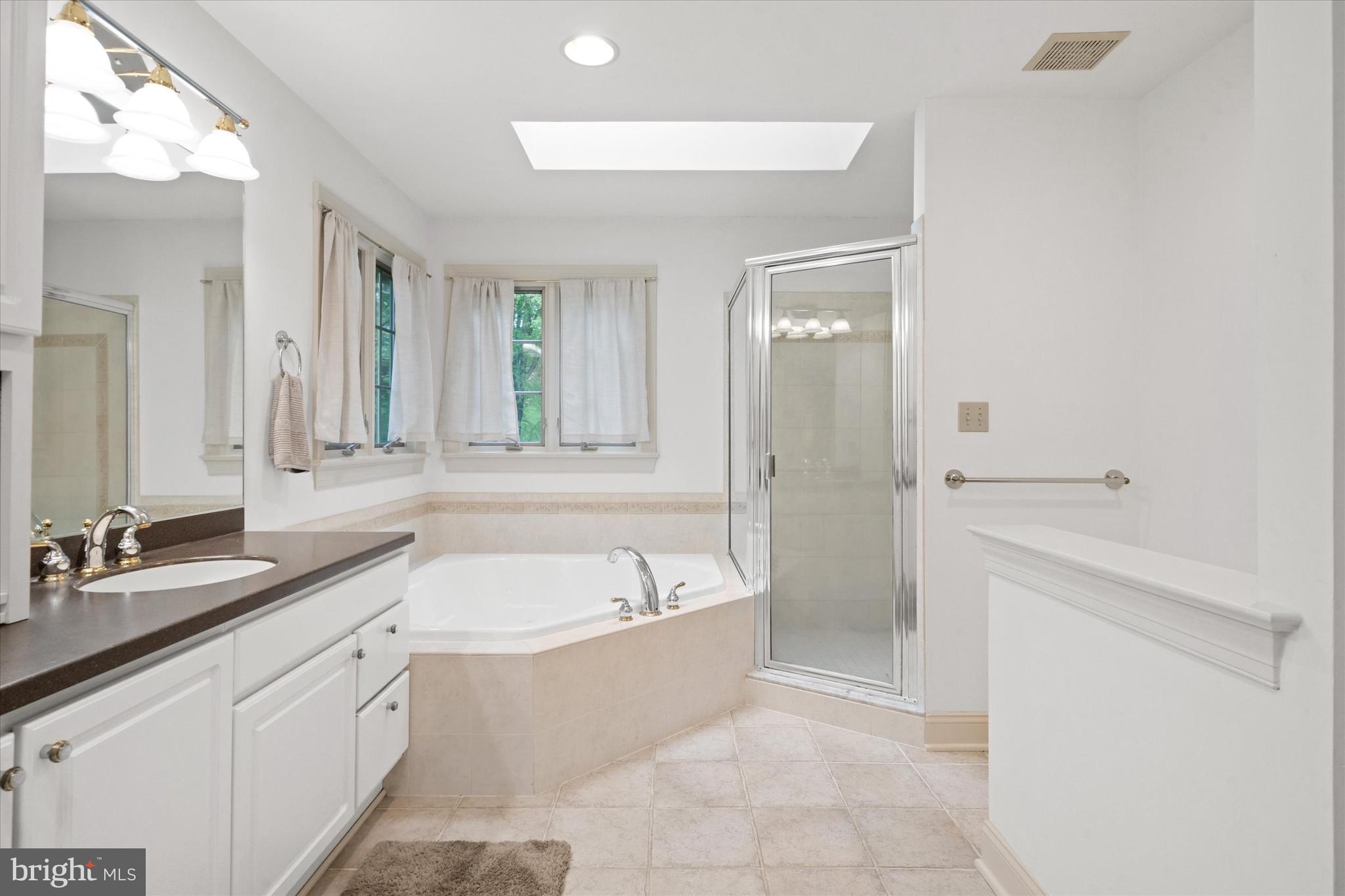 1618 Snuff Mill Road Hockessin, DE 19707 - Photo 27 of 48 a spacious bathroom with a bathtub sink and mirror