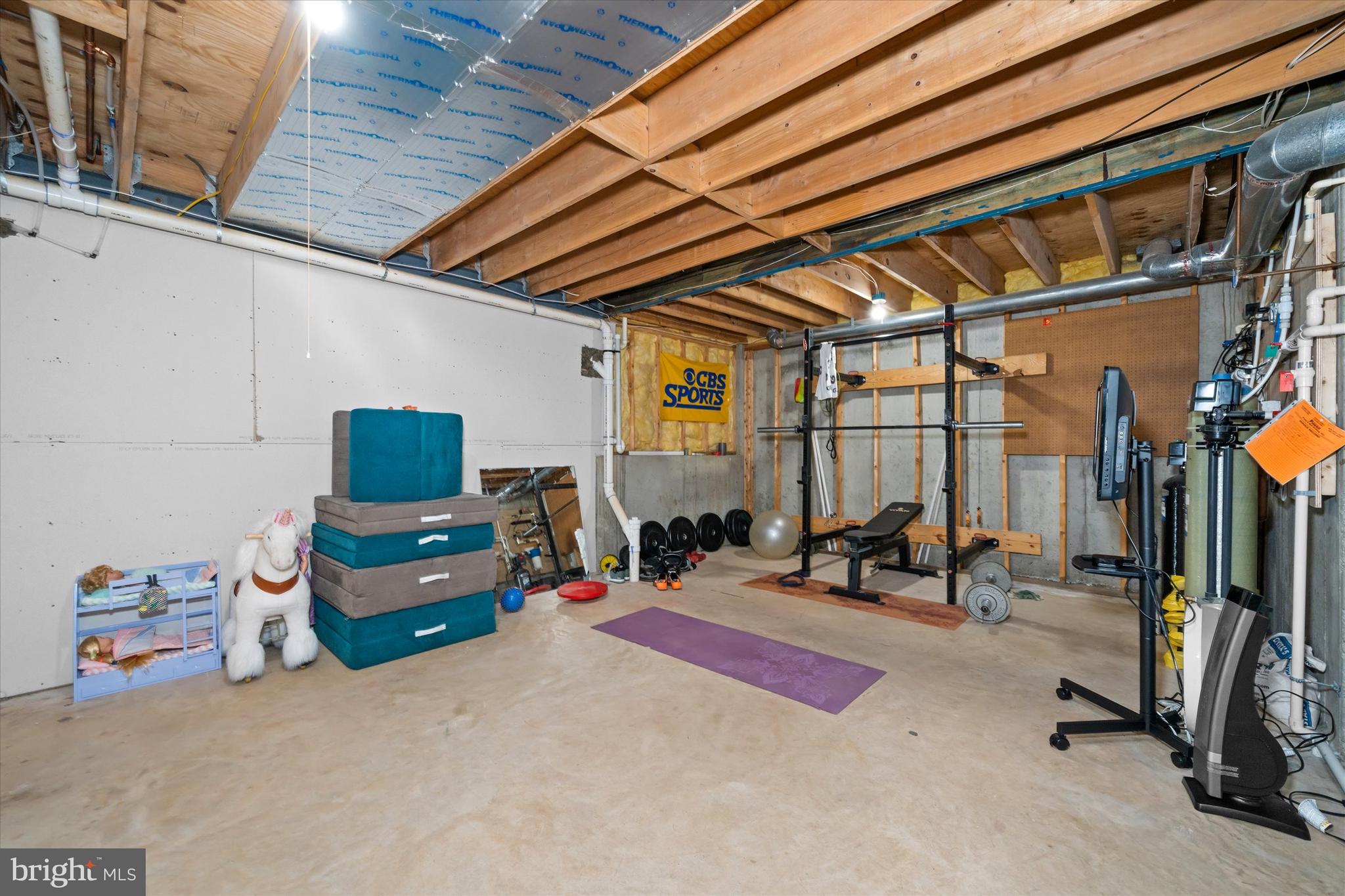 1618 Snuff Mill Road Hockessin, DE 19707 - Photo 39 of 48 a view of a room with gym equipment