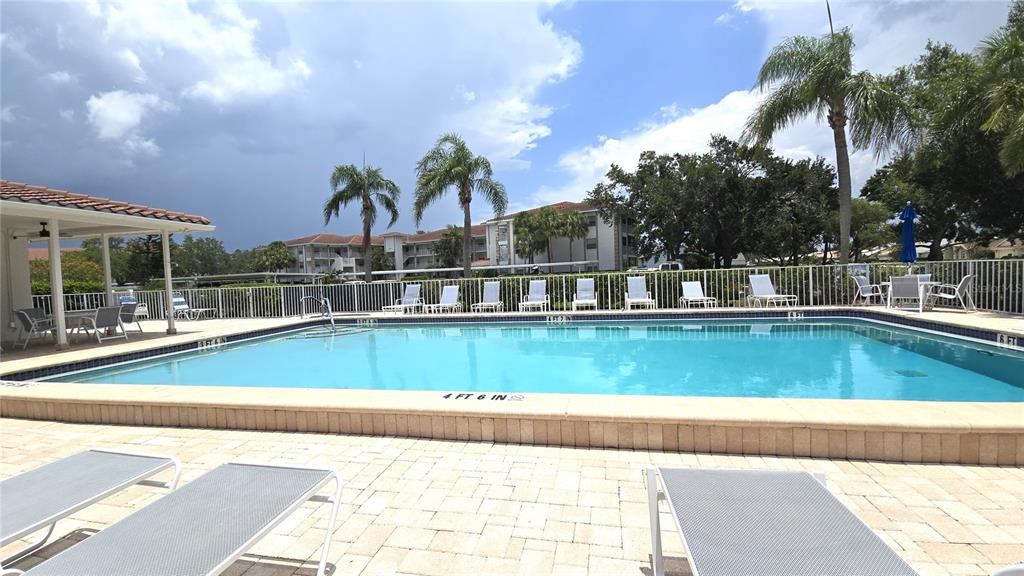 6501 Stone River Road, Unit 201 Bradenton, FL 34203 - Photo 17 of 18 a view of swimming pool with palm trees