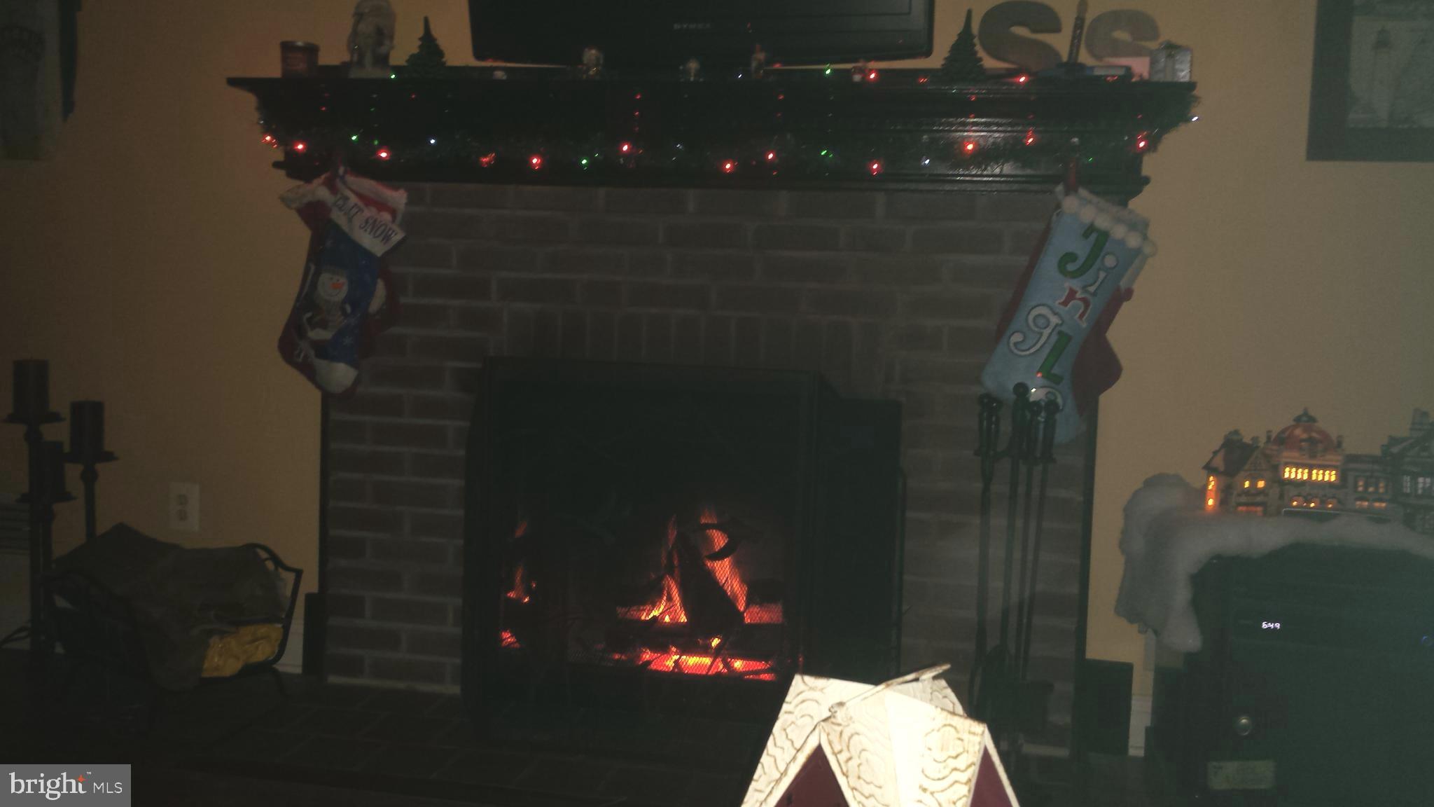 124 Granada Road Pasadena, MD 21122 - Photo 19 of 41 CHIMNEY RESTORED /STAY WARM IN THE COLD WINTERS