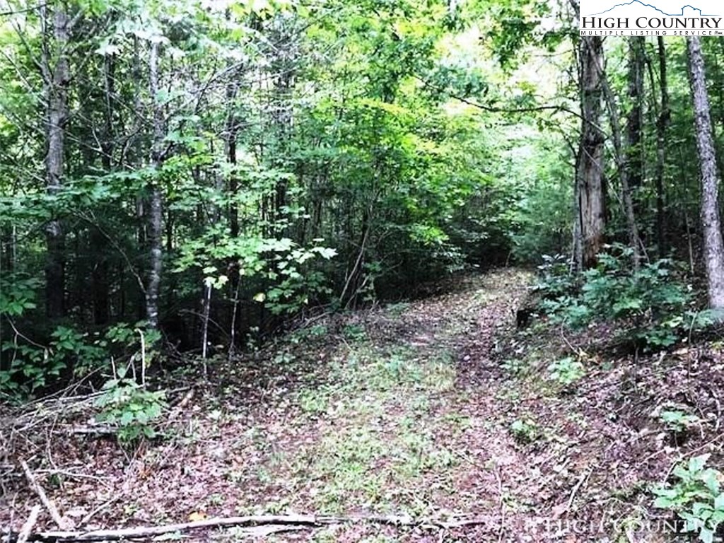 311 Clawson Road Butler, TN 37640 - Photo 16 of 17