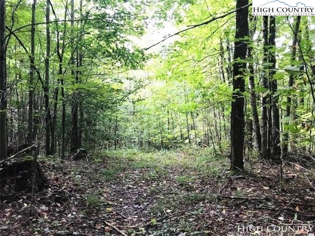 311 Clawson Road Butler, TN 37640 - Photo 2 of 17