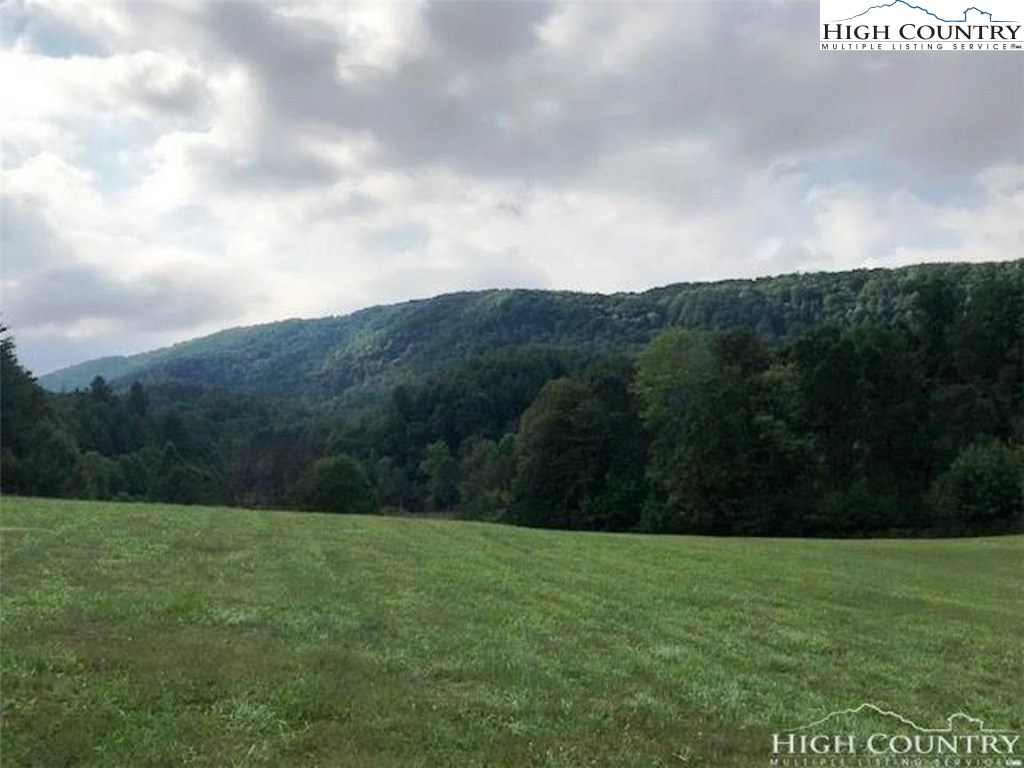 311 Clawson Road Butler, TN 37640 - Photo 4 of 17