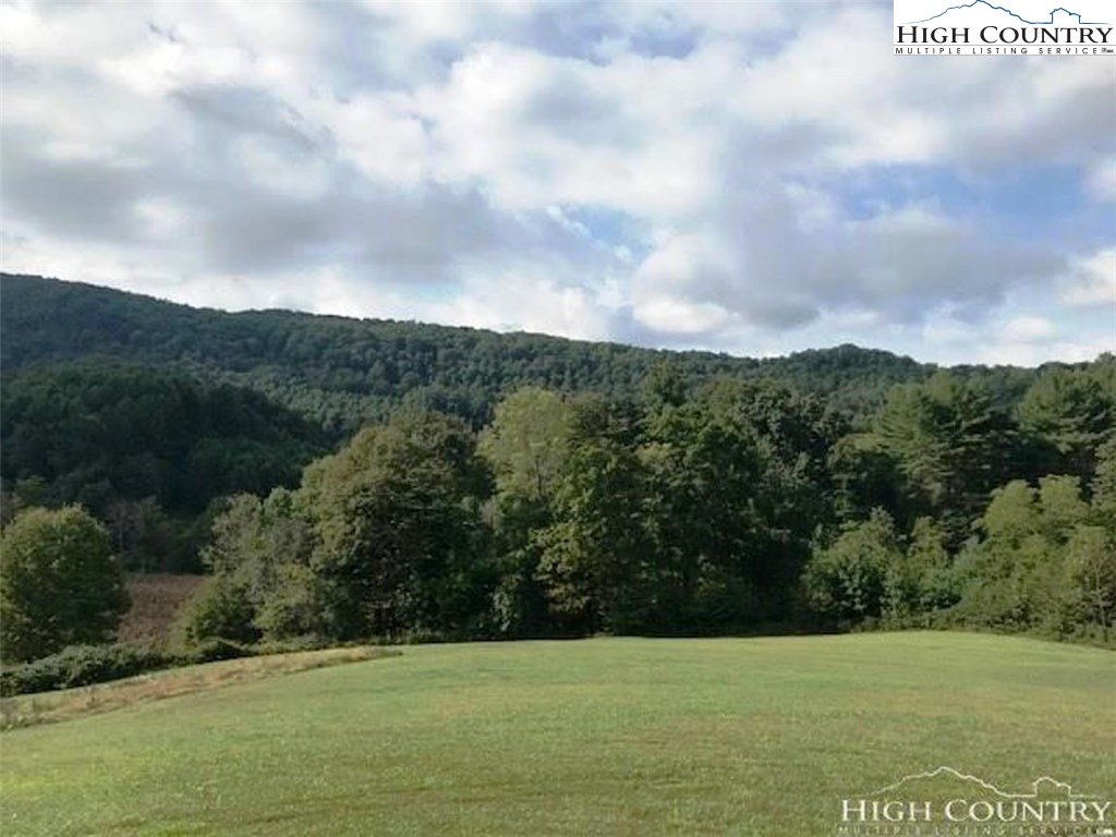 311 Clawson Road Butler, TN 37640 - Photo 6 of 17