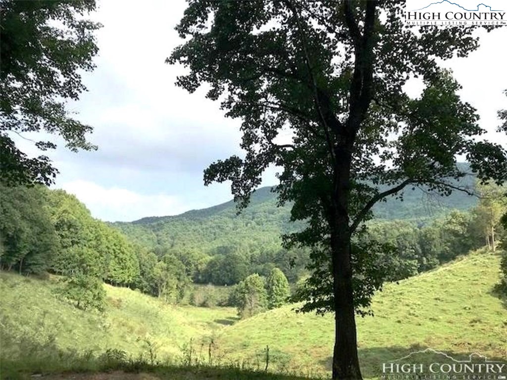 311 Clawson Road Butler, TN 37640 - Photo 7 of 17