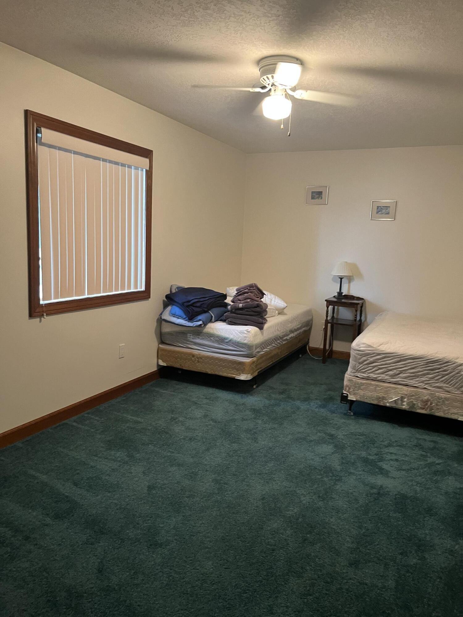 9677 West Camden Road Montgomery, MI 49255 - Photo 17 of 43 image0 (18)