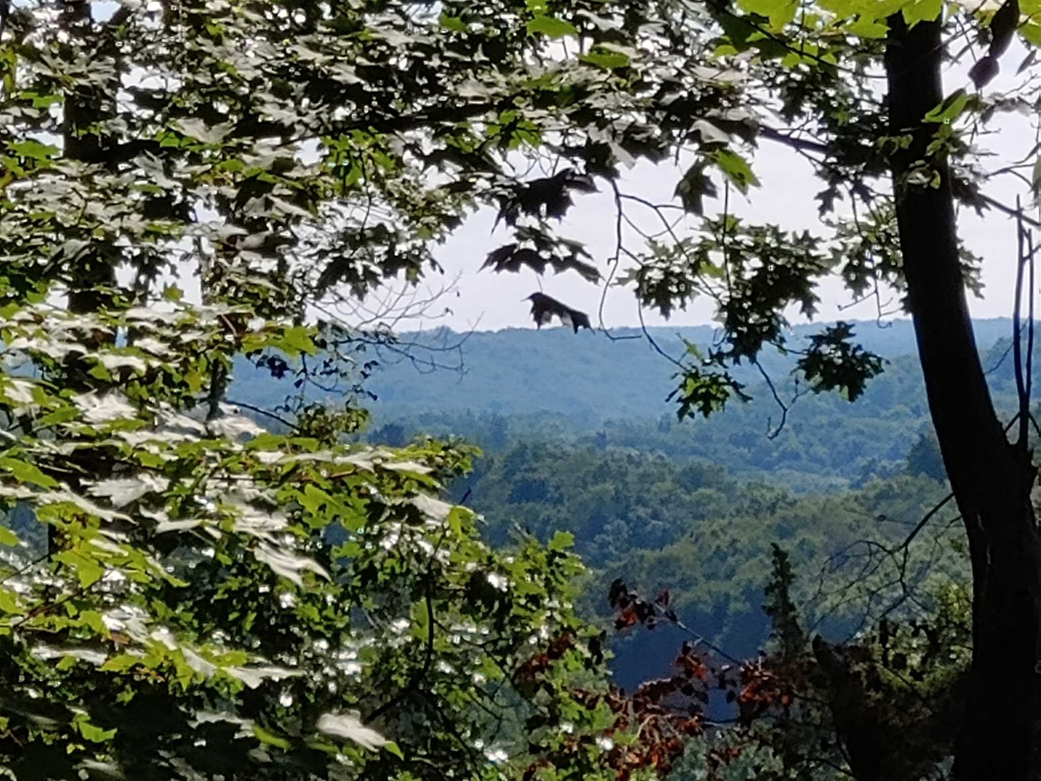 569 Tyrrel Road Millbrook, NY 12545 - Photo 2 of 30