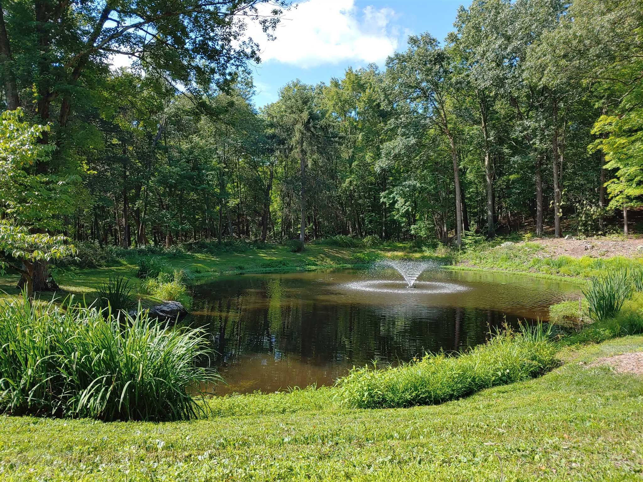 569 Tyrrel Road Millbrook, NY 12545 - Photo 3 of 30