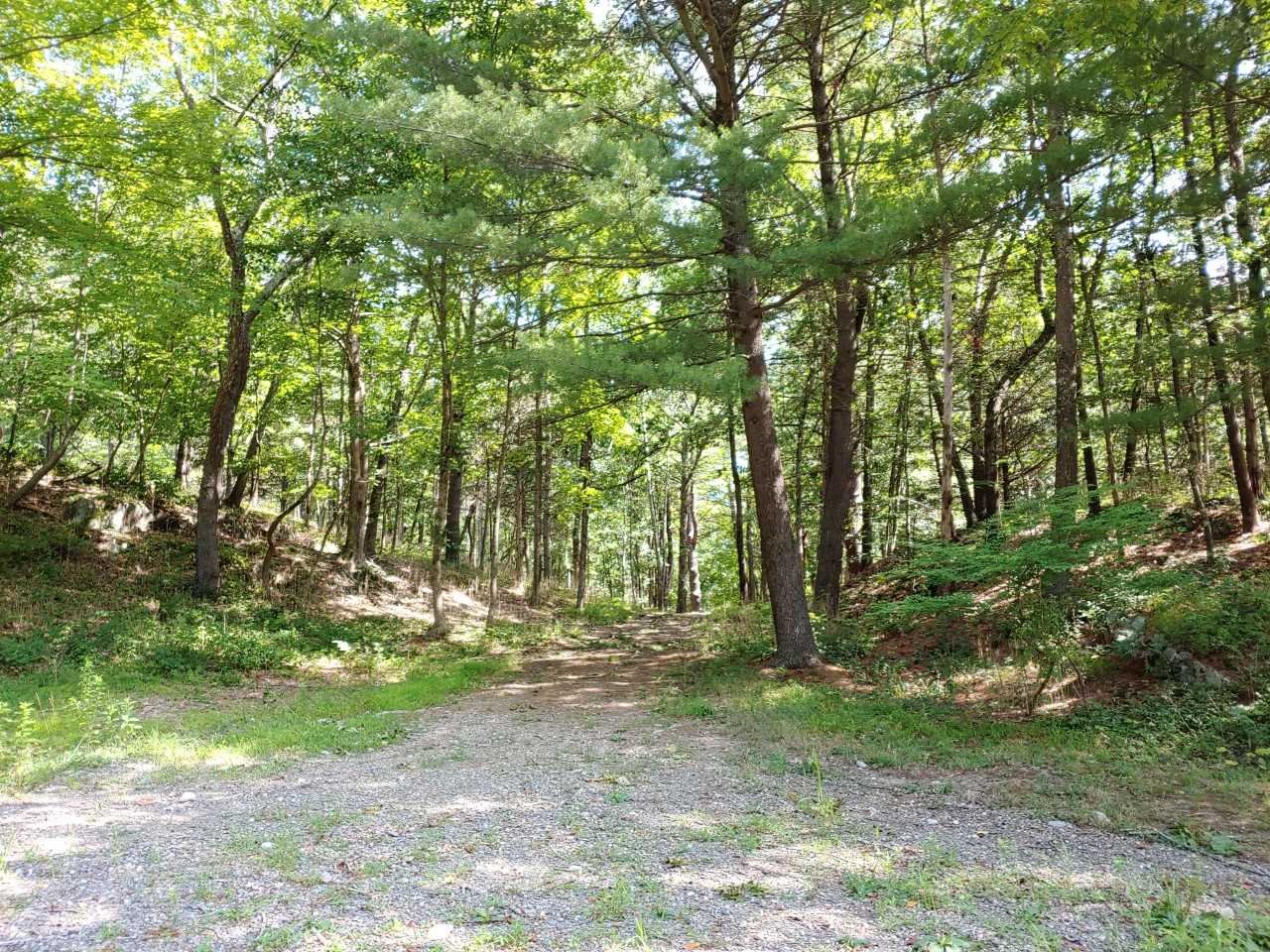 569 Tyrrel Road Millbrook, NY 12545 - Photo 26 of 30