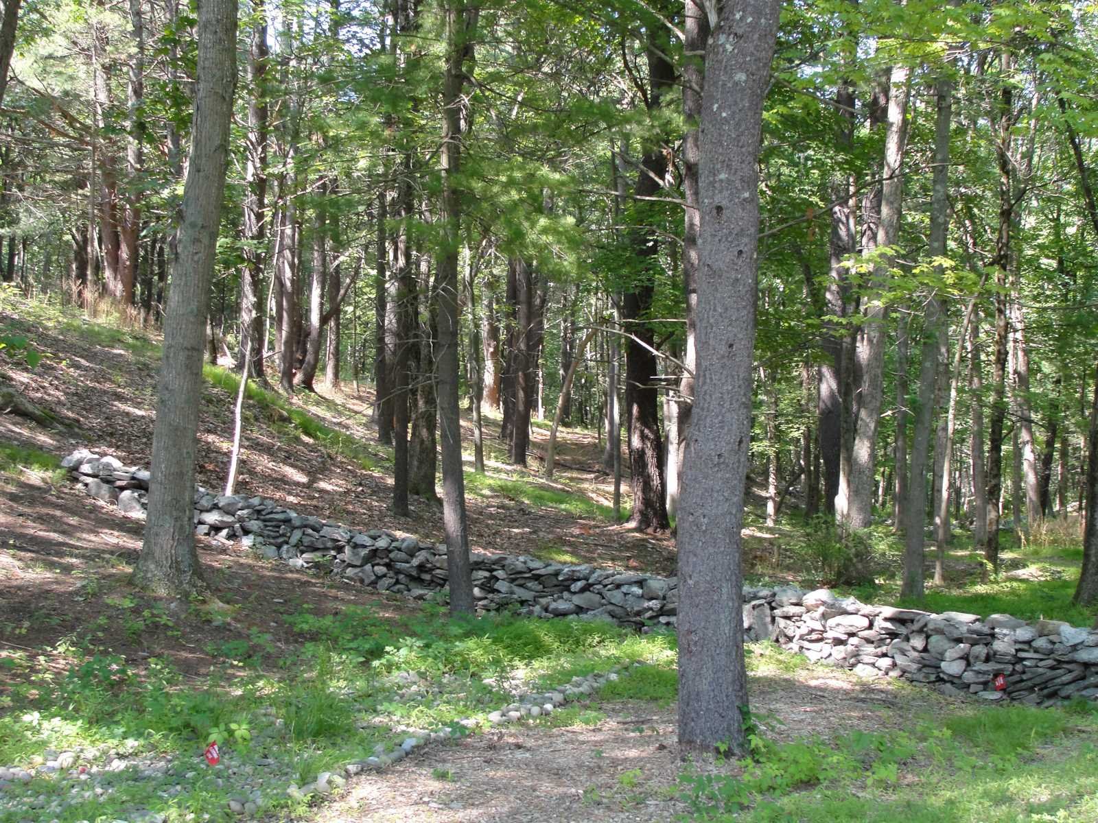 569 Tyrrel Road Millbrook, NY 12545 - Photo 27 of 30