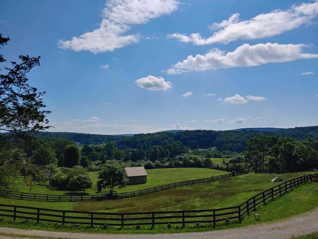 569 Tyrrel Road Millbrook, NY 12545 - Photo 4 of 30