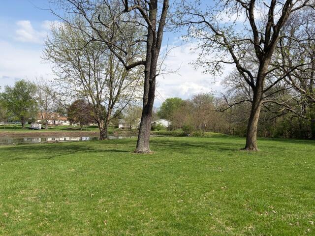 719 Salt Creek Road Le Roy, IL 61752 - Photo 5 of 29