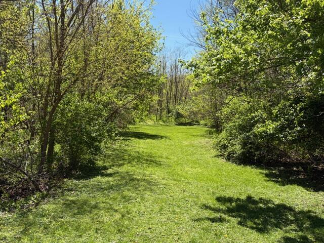 719 Salt Creek Road Le Roy, IL 61752 - Photo 7 of 29