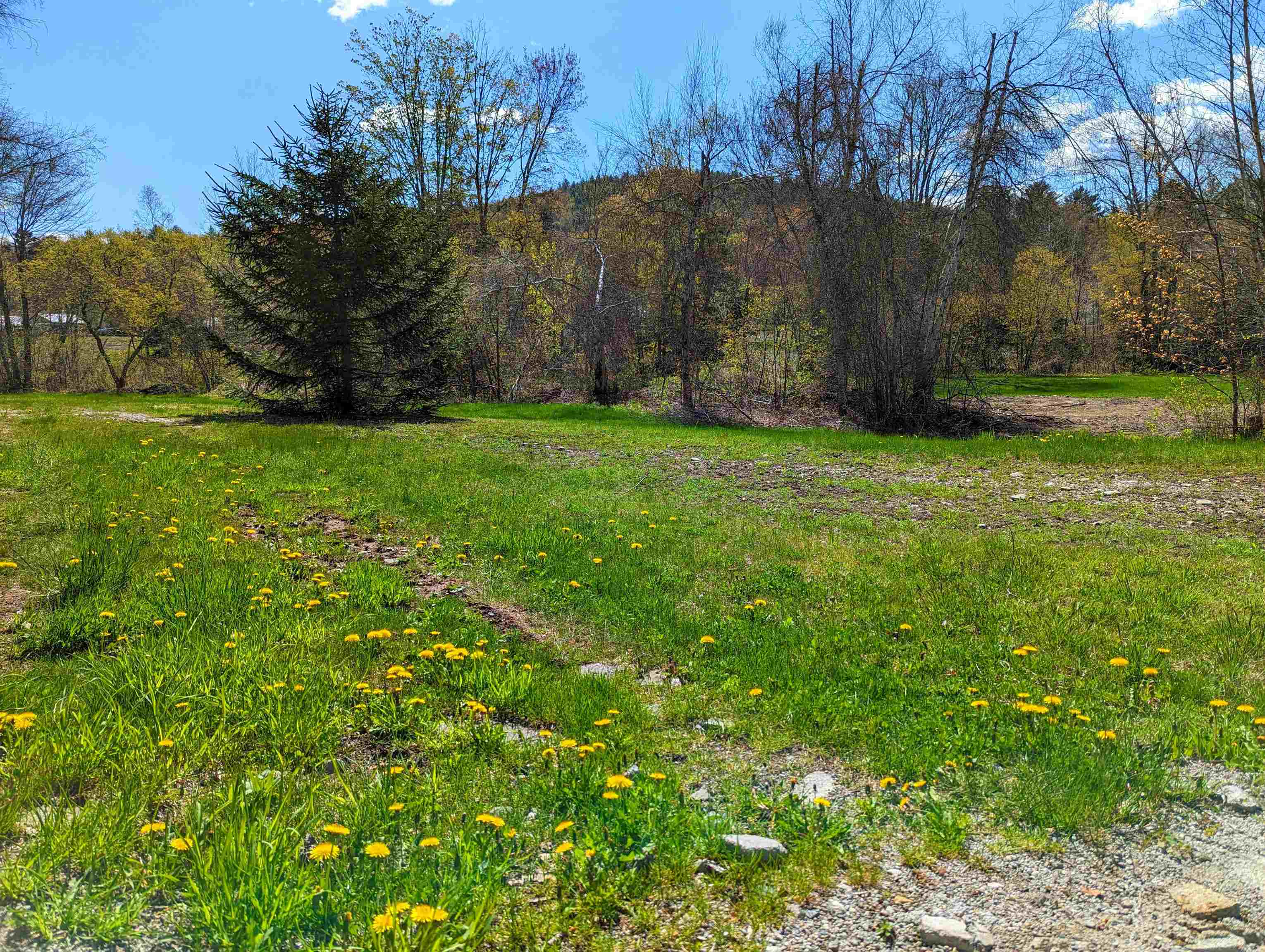 0 Cote Road Grantham, NH 03753 - Photo 7 of 20