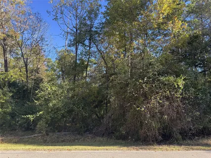 $23,000 | 54 North Fairway Loop, Coldspring, TX 77331