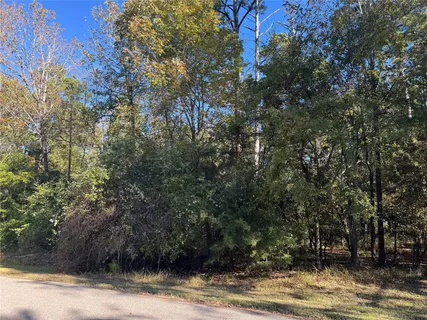 $23,000 | 54 North Fairway Loop, Coldspring, TX 77331