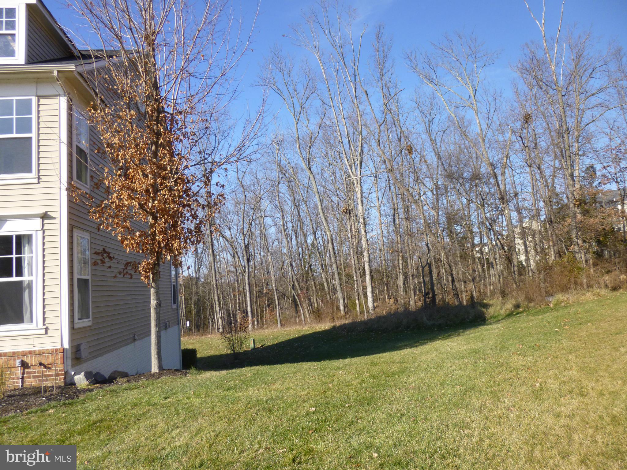 9081 Ribbon Falls Loop Bristow, VA 20136 - Photo 2 of 28 Side Yard
