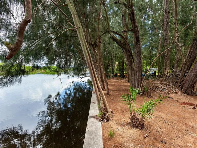 a view of road with trees in front of it