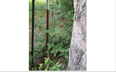 Liberty Road Murphy, NC 28906 - Photo 1 of 1 Main View