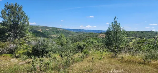 a view of a field