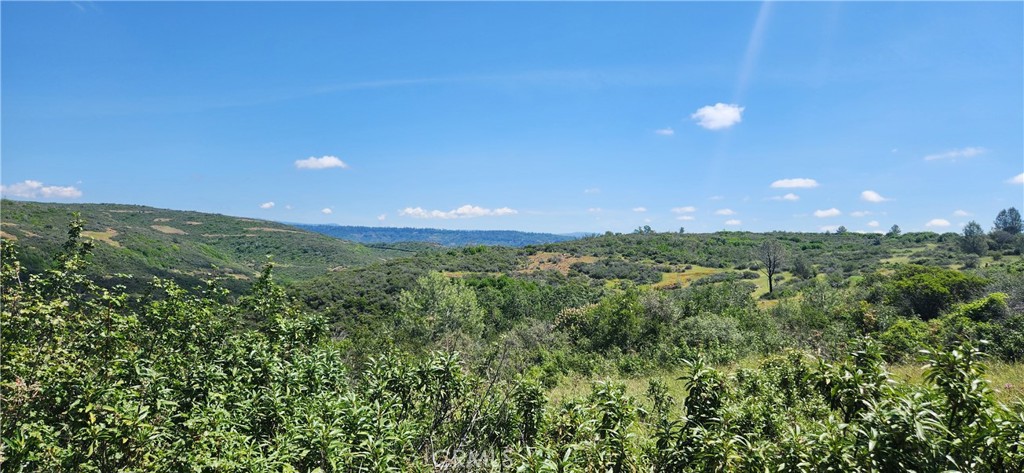 0 Hummer Road Chico, CA 95928 - Photo 16 of 28 a view of a green field with lots of bushes
