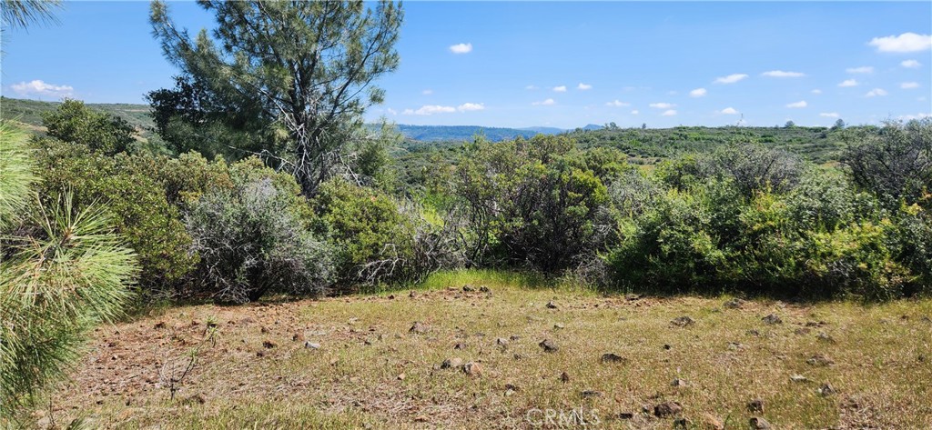 0 Hummer Road Chico, CA 95928 - Photo 18 of 28 a view of outdoor space and garden