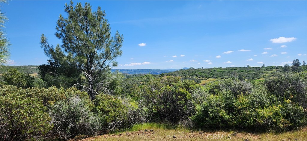 0 Hummer Road Chico, CA 95928 - Photo 19 of 28 a view of a yard in a yard
