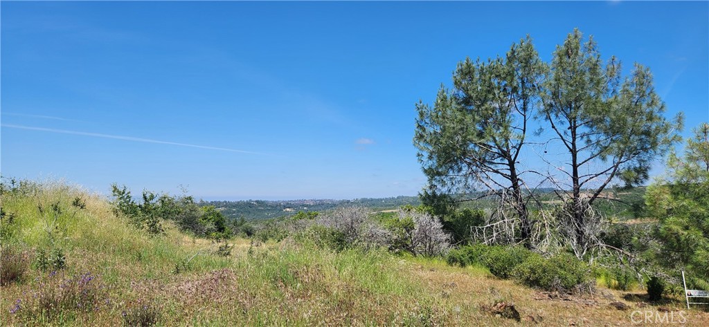 0 Hummer Road Chico, CA 95928 - Photo 22 of 28 a view of a lush green space
