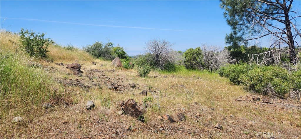 0 Hummer Road Chico, CA 95928 - Photo 23 of 28 a view of a yard with a tree