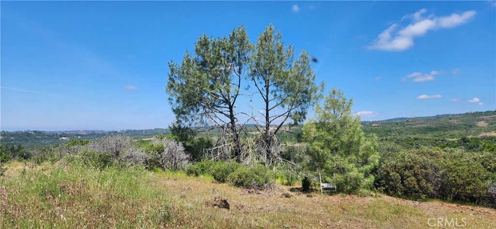 0 Hummer Road Chico, CA 95928 - Photo 25 of 28 a view of a yard with a tree