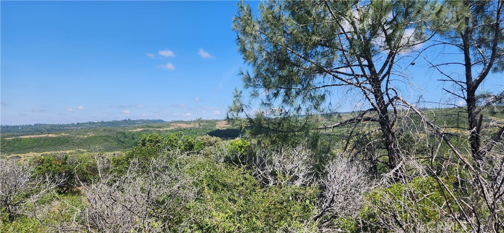 0 Hummer Road Chico, CA 95928 - Photo 10 of 28 a view of a lush green space with sea