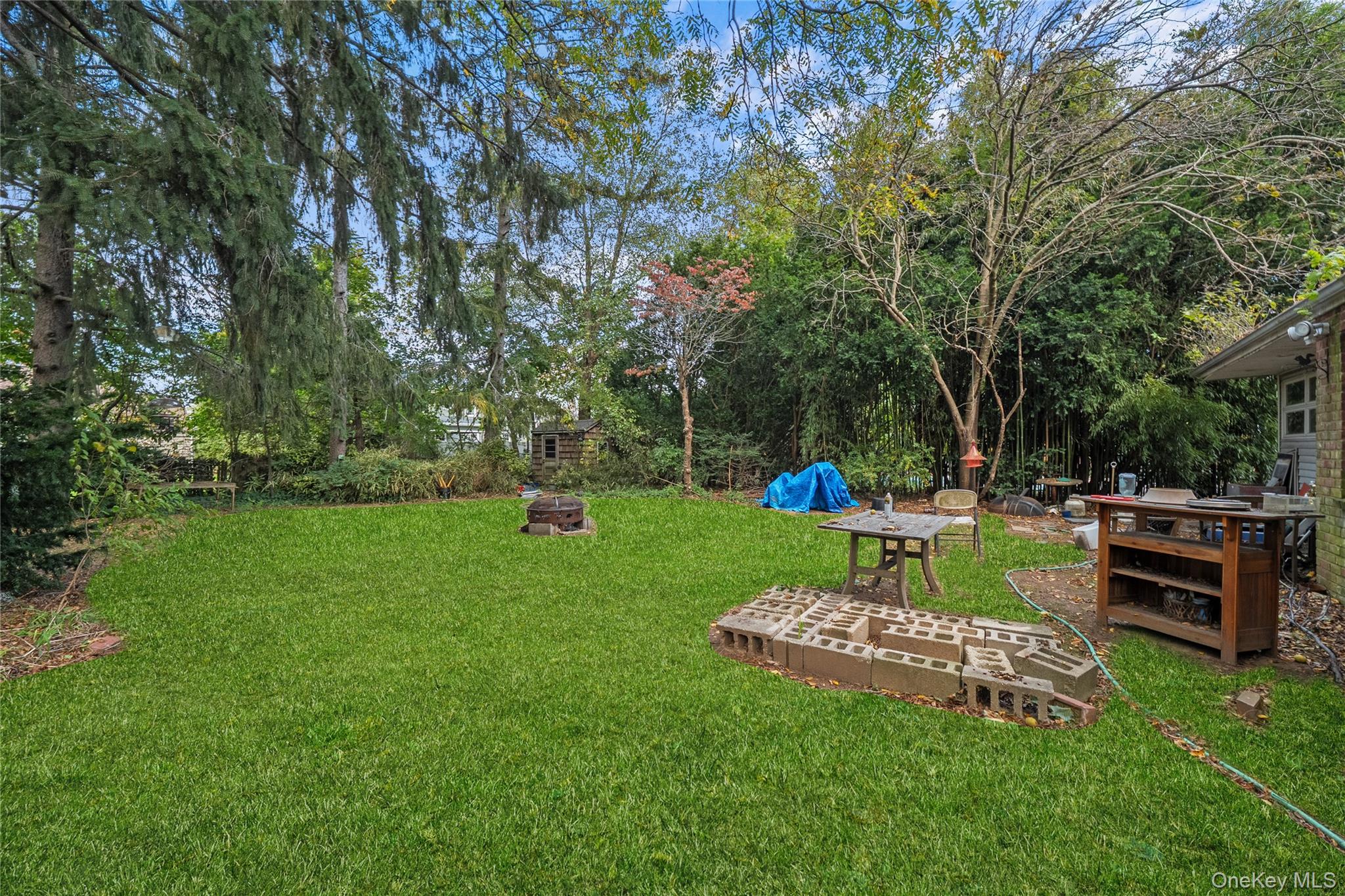 9 Tudor Road Farmingdale, NY 11735 - Photo 6 of 12 a garden with trees in the background
