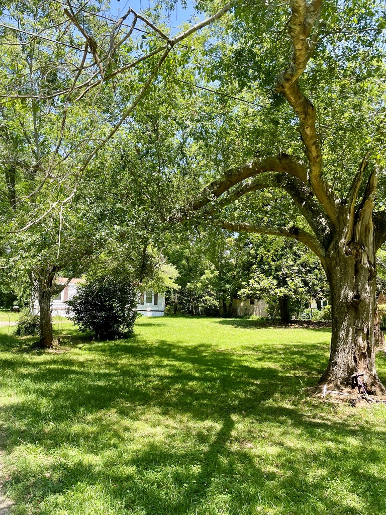 1540 Jones Road Cataula, GA 31804 - Photo 3 of 9 Gallery Image 3