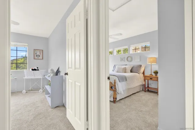 a view of a park with large trees