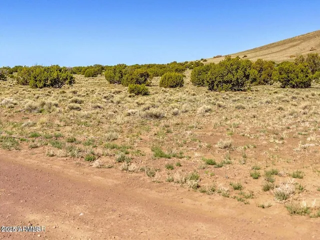 a view of beach and ocean
