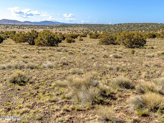 $5,400 | 5106 Tbd Co Road, Concho, AZ 85924