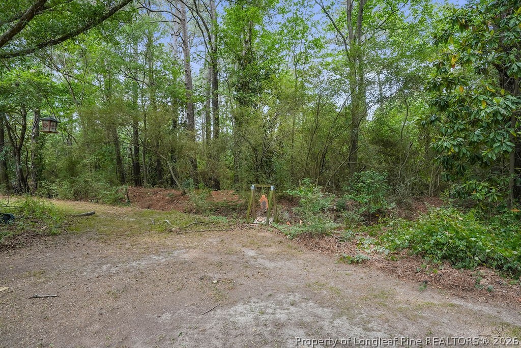 4119 Minnie Hall Road Autryville, NC 28318 - Photo 48 of 50