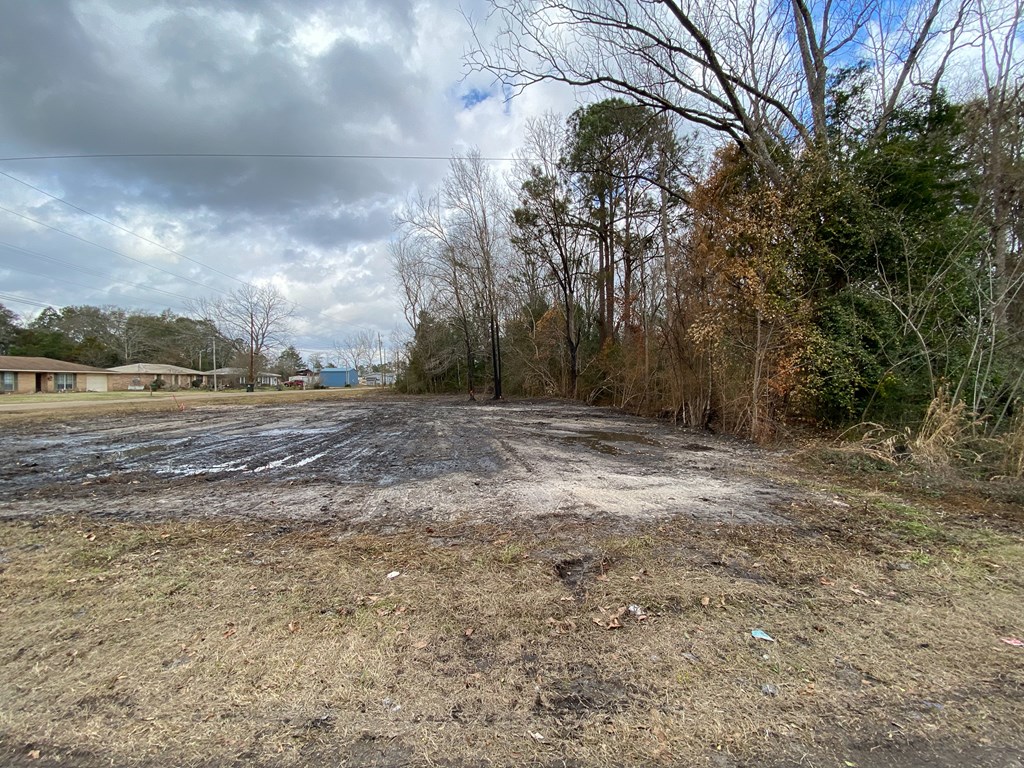 0 South Broad Street Samson, AL 36477 - Photo 6 of 10