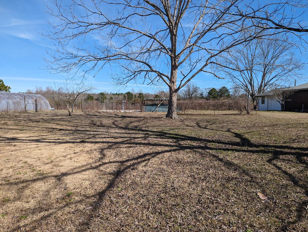 6002 Goat Hill Road Samson, AL 36477 - Photo 35 of 43